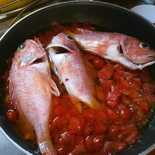 Private Fishing & Cooking Tour with Sparviere Boat Tours in Capri