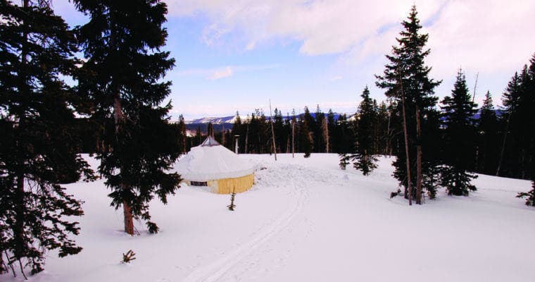 Snowy alpine yurts in open meadow with forested mountain backdrop