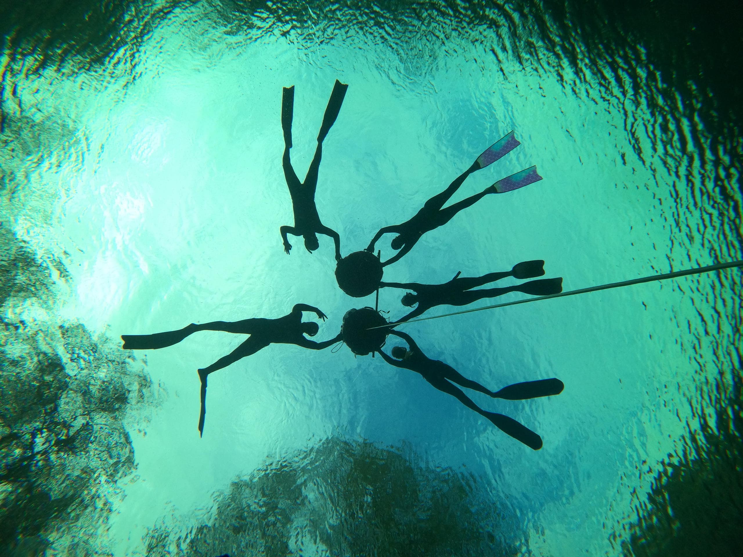 Live Free Diving fleet