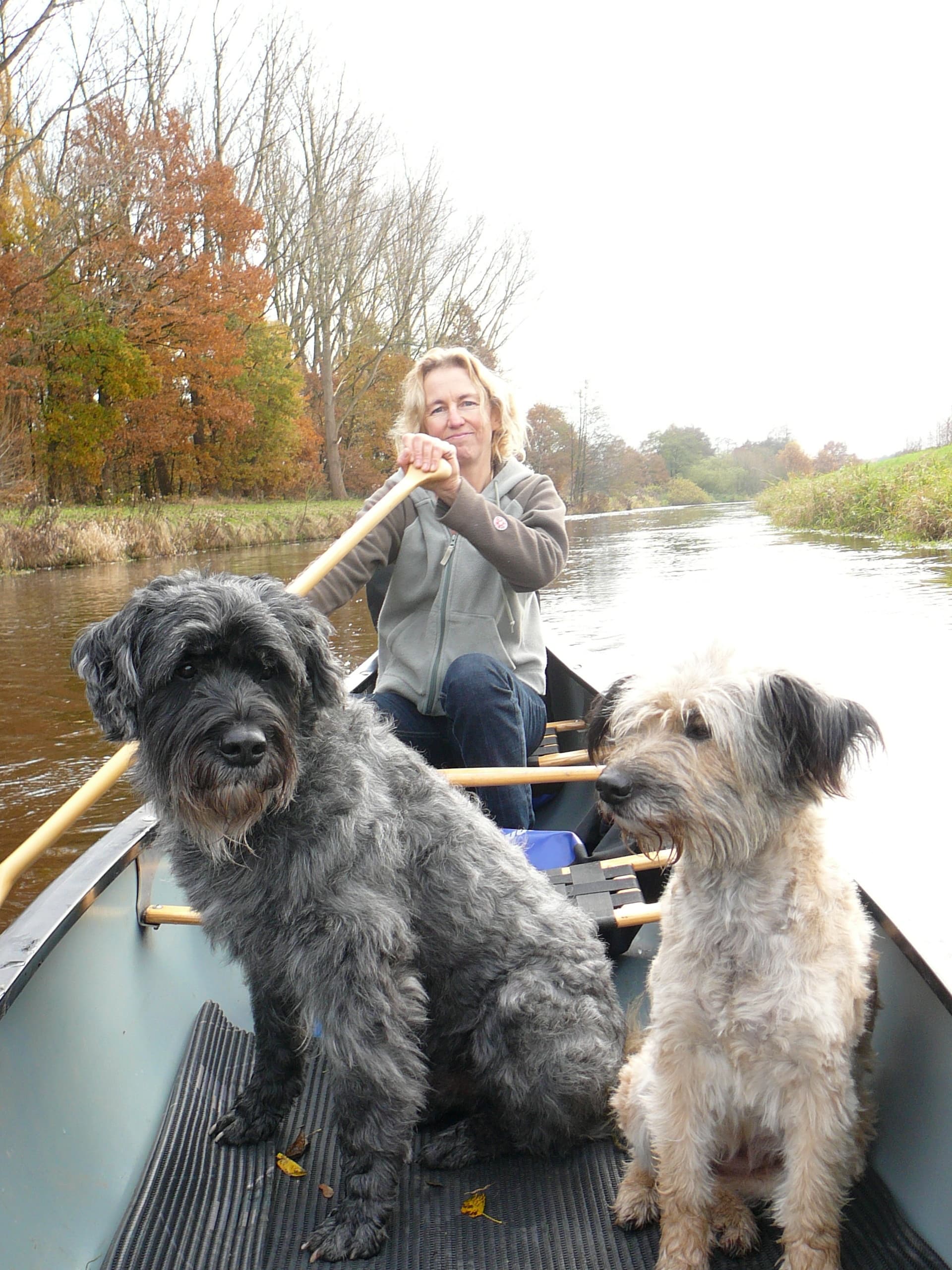 Paddling Via Dümmer Lake with Bright Side Tours in Niedersachsen