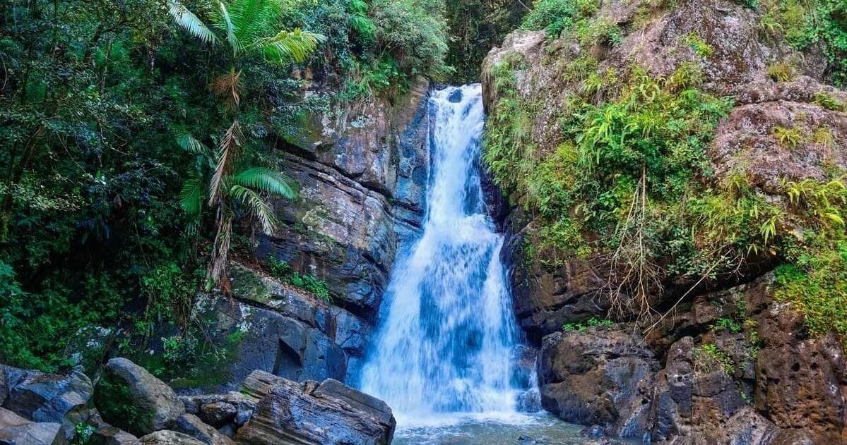 Explore Puerto Rico’s Bio Bay & Rainforest Combo Tour