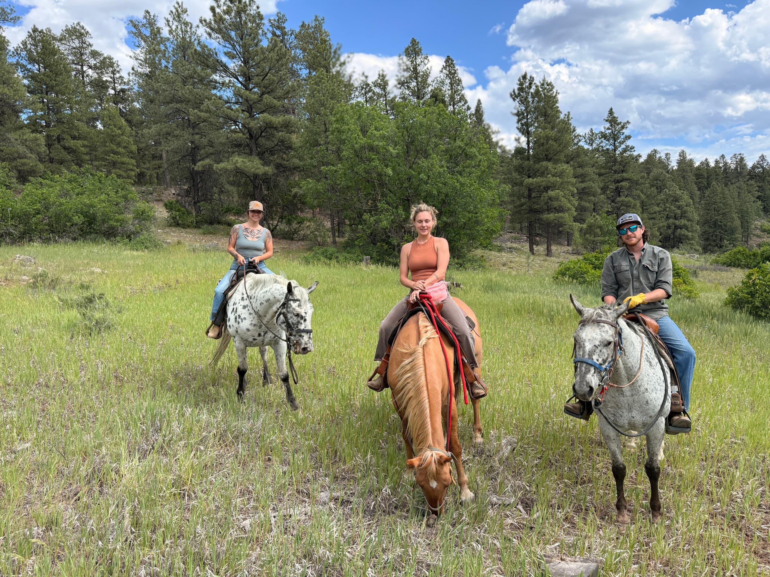Sunset Horseback Ride in Pagosa Springs: Summer Night Ride at Diamond Hitch Stables photo 2