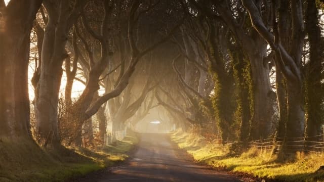 Game of Thrones Tour in Bellaghy with InSite Tours Ireland