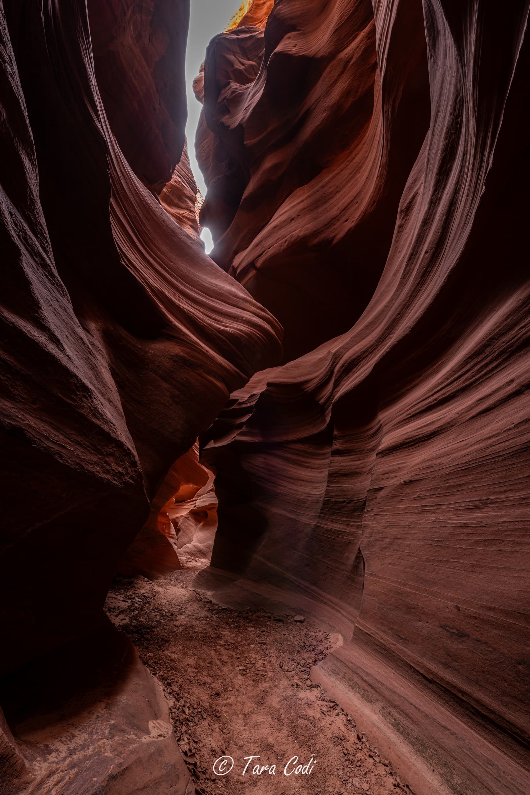 Exploring Cardiac Canyon: A Remote Hiking Adventure Near Page, Arizona