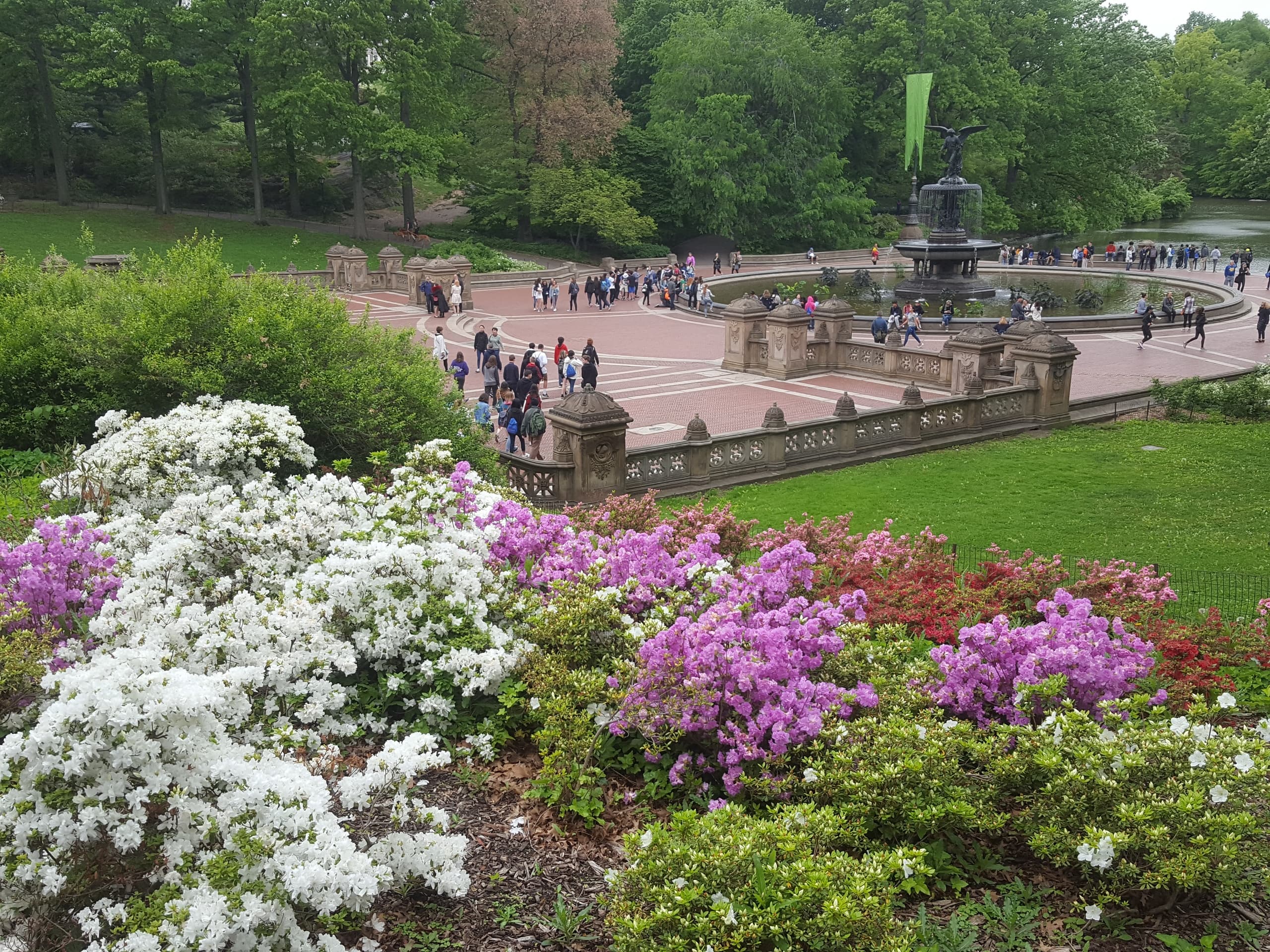 Explore Central Park: Guided Walking Tour into NYC’s Iconic Urban Oasis