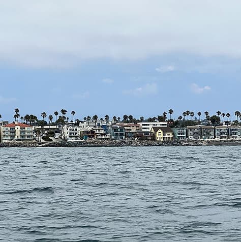 Marine Wildlife Private Tours with Coastline Safari in Oceanside