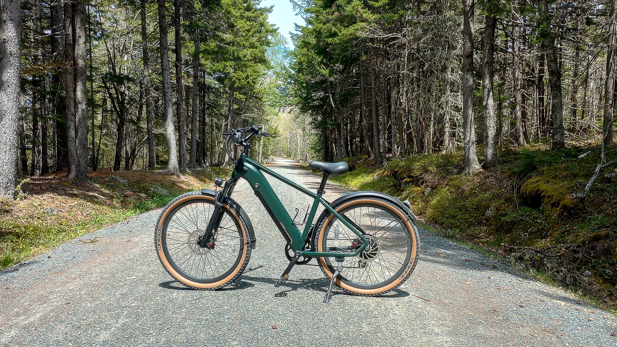 Mountain bike parked on scenic forest road by pines