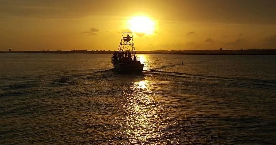 Evening Dolphin Cruise with Surf’s Up Dolphin Cruises in Orange Beach