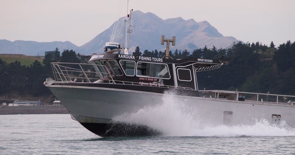 Private Boat Hire Adventures in Kaikōura: Your Exclusive Sea Escape
