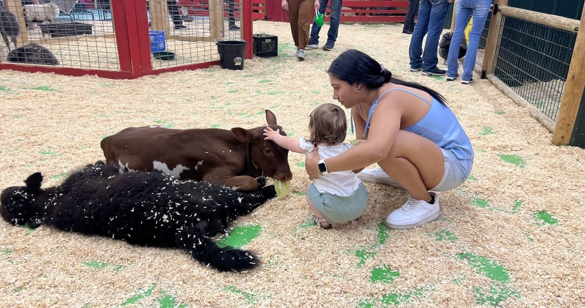 Children petting baby goats and calves in indoor petting zoo pen