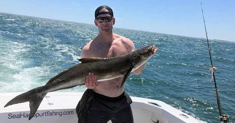 Captain holding large cobia on open ocean sportfishing trip