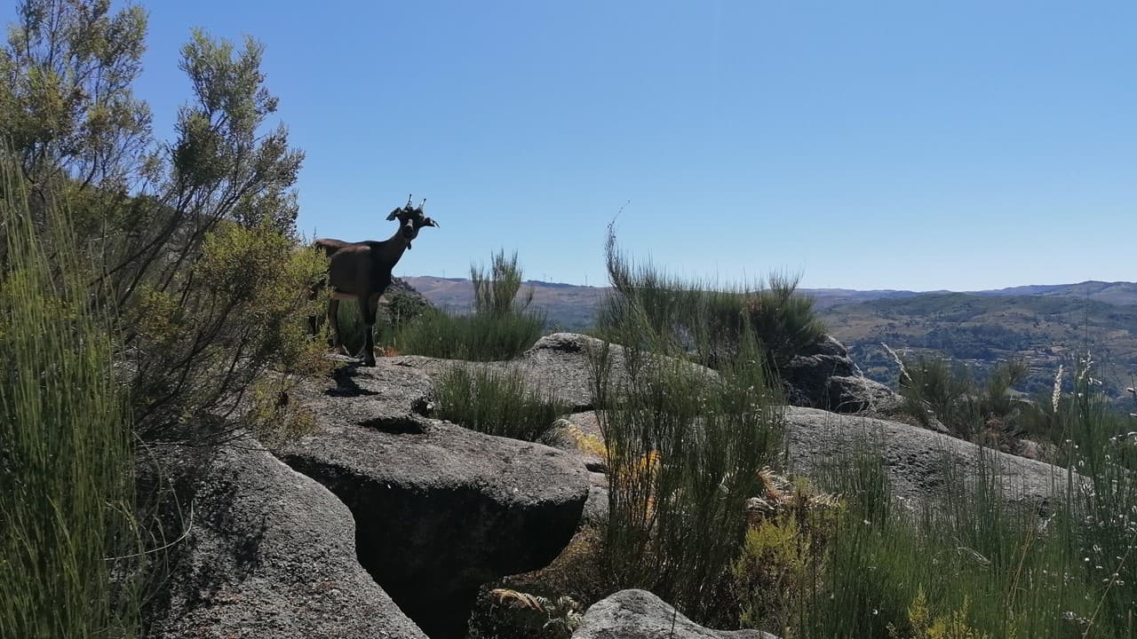 Rural Adventure in Peneda-Gerês with Cabril Eco Rural