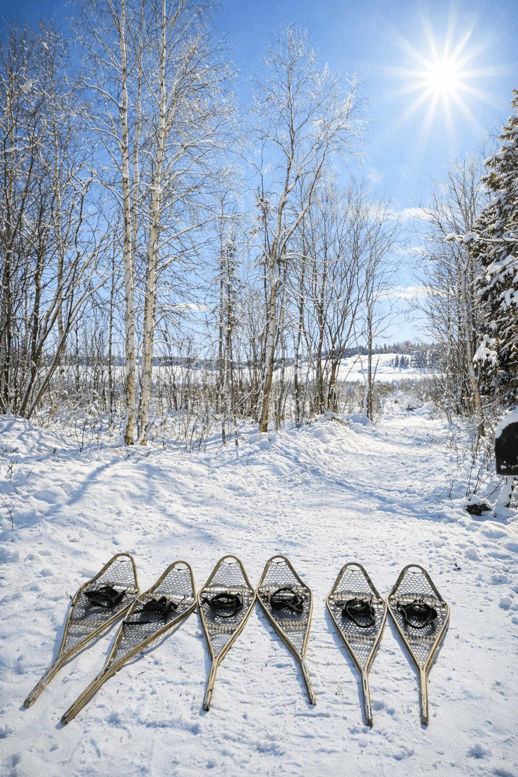 Snowshoeing Near Yellowknife: Gentle Guided Trails Through Boreal Winter