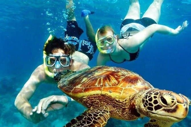 San Juan Snorkeling Adventure for Vibrant Marine Life