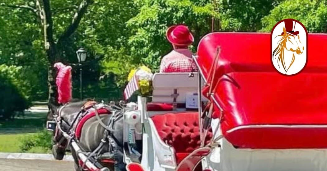 Explore Central Park’s Iconic Corners on a Scenic Mini Horse Carriage Tour