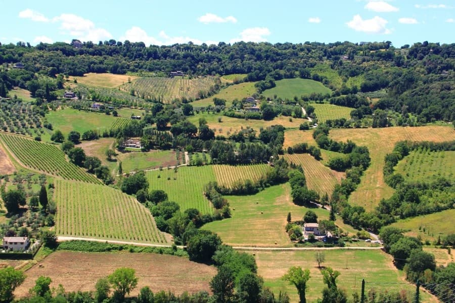 Seamless Civitavecchia Port to Umbria with Discovery Guided Tours