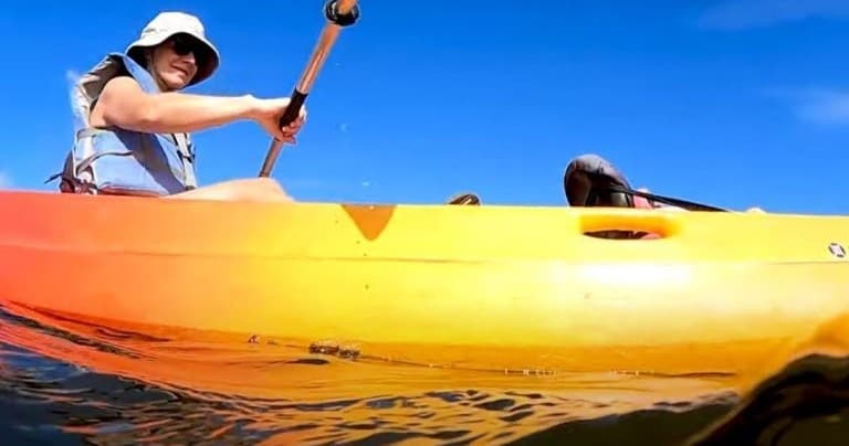 Kayaking & Paddleboarding at Manatee Cove Park with Calypso Kayaking