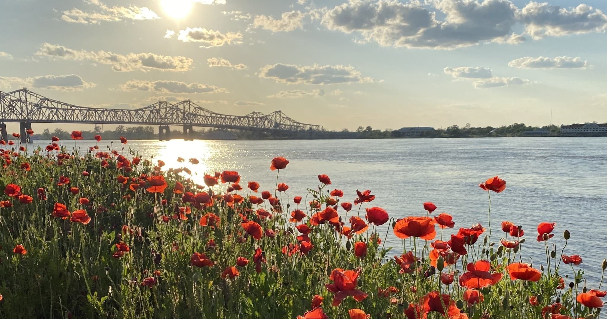 Natchez Pilgrimage Tours: Fall Private Homes Weekend