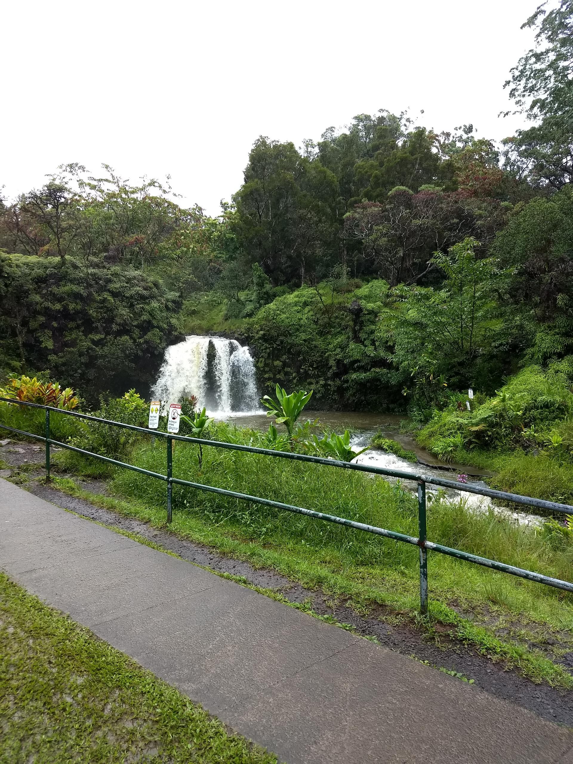 Road to Hana Tour from Dynamic Tour Hawaii, Maui