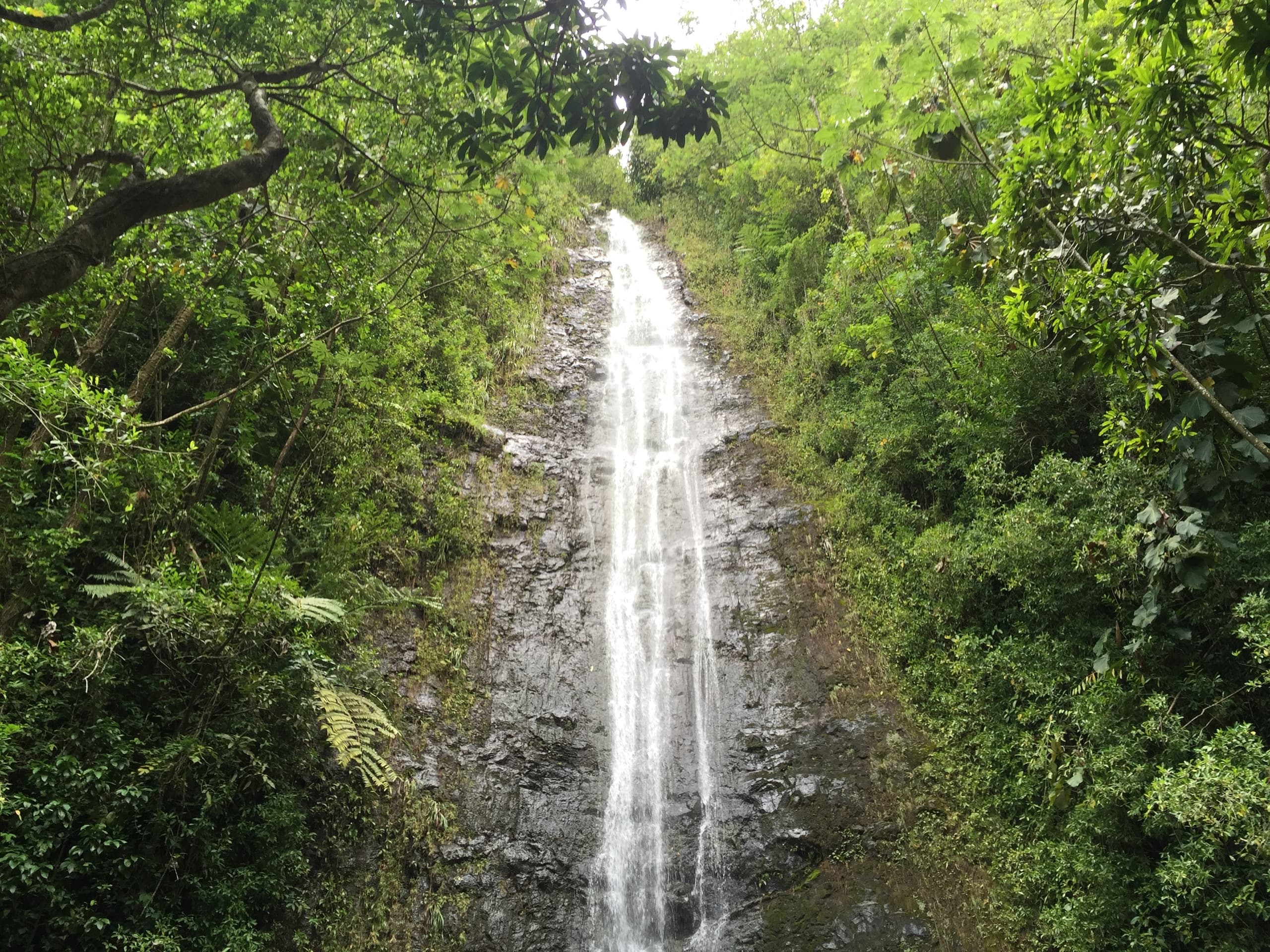 Explore Manoa Valley Hiking & History in Honolulu
