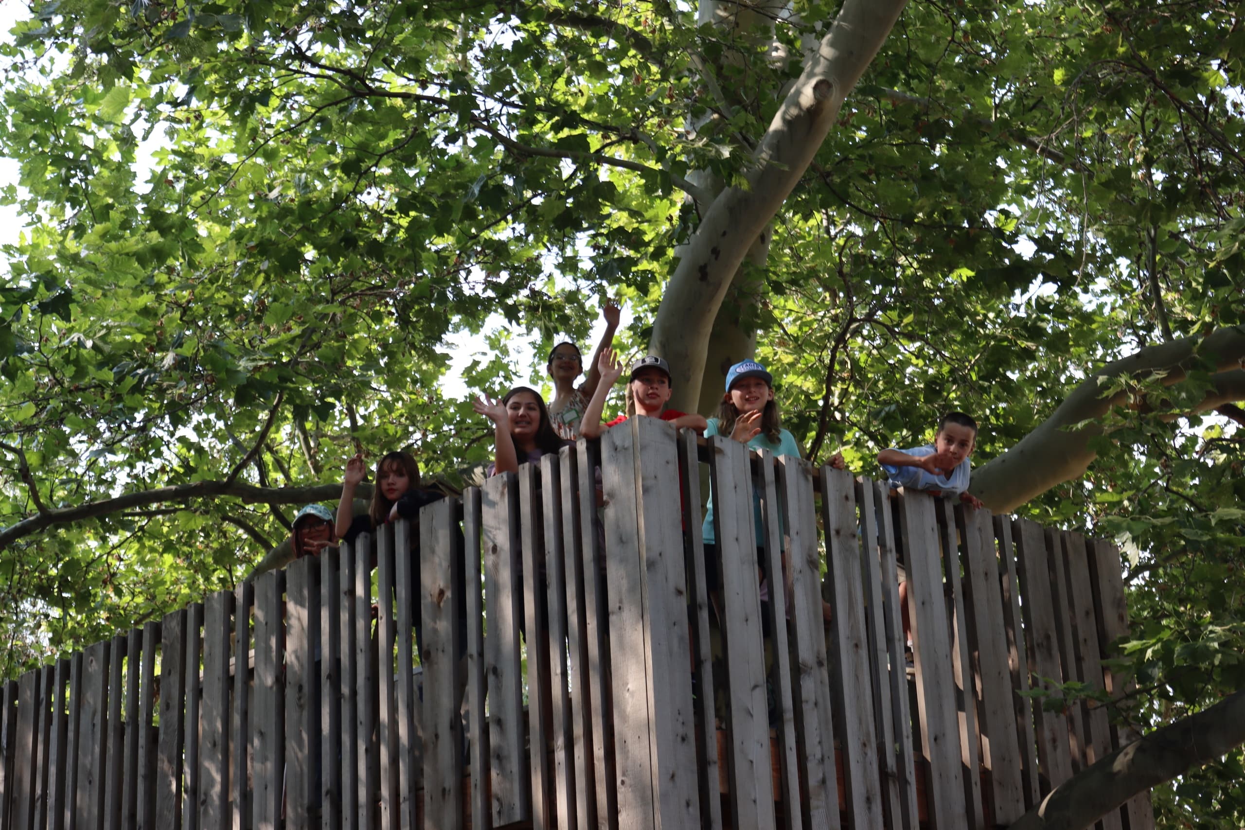 Fun Single-Day Nature Camps for Kids in Ogden, Utah