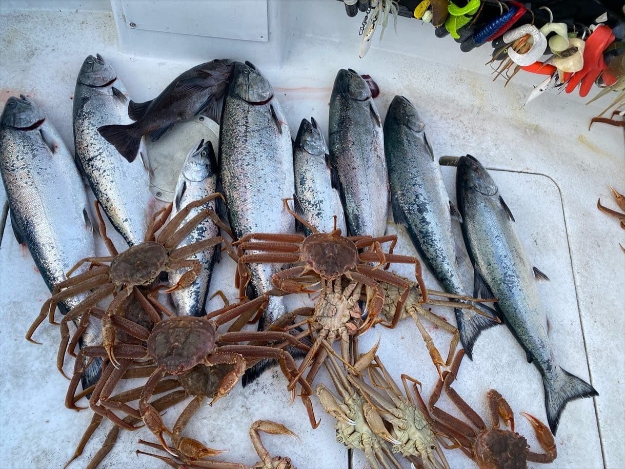Mixed catch of salmon and snow crabs on boat deck