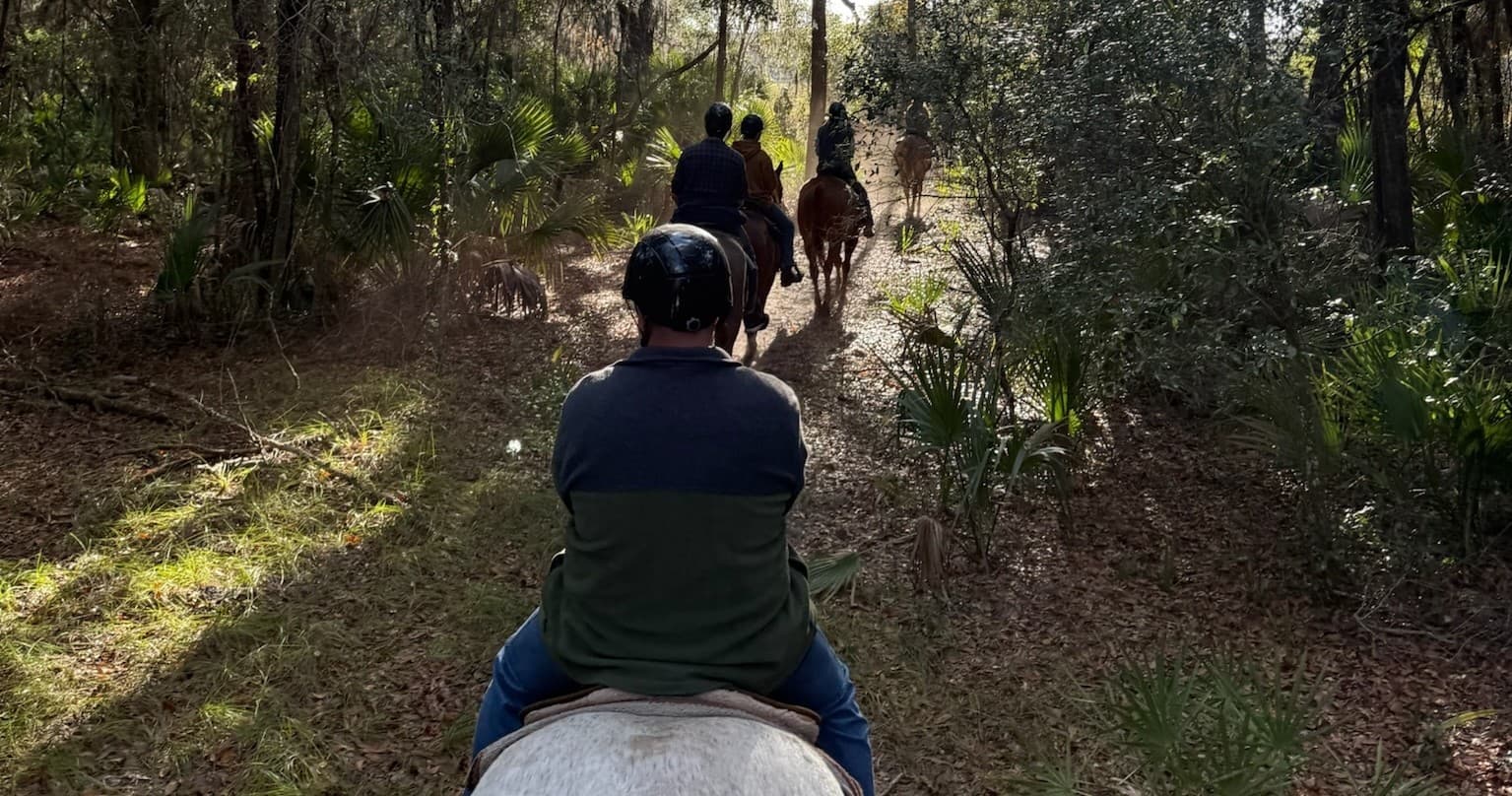 Sorrento Horseback Trail Ride: 90-Minute Guided Ride Through Central Florida Flatwoods photo 1