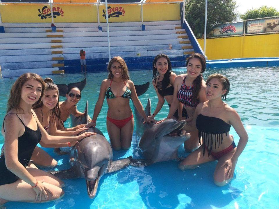 Dolphin Experience at Splash Water Park by Puerto Vallarta Net