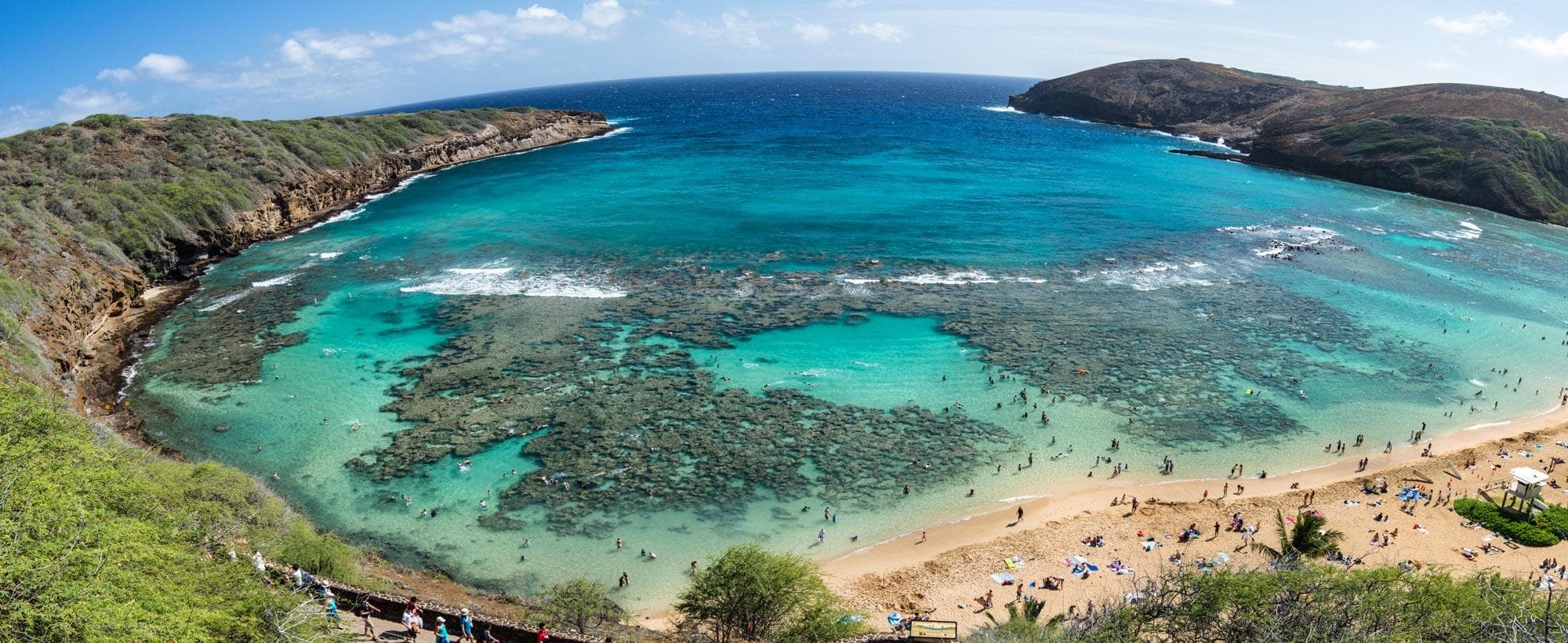 Hassle-Free Hanauma Bay Snorkel and Zoo Package photo 3