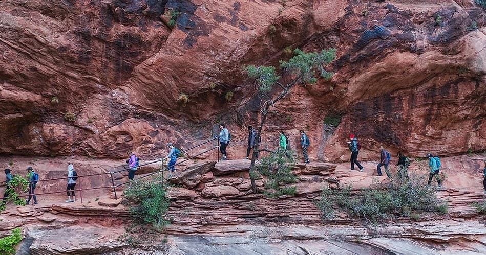 Land Adventures in Zion National Park with Zion Insider