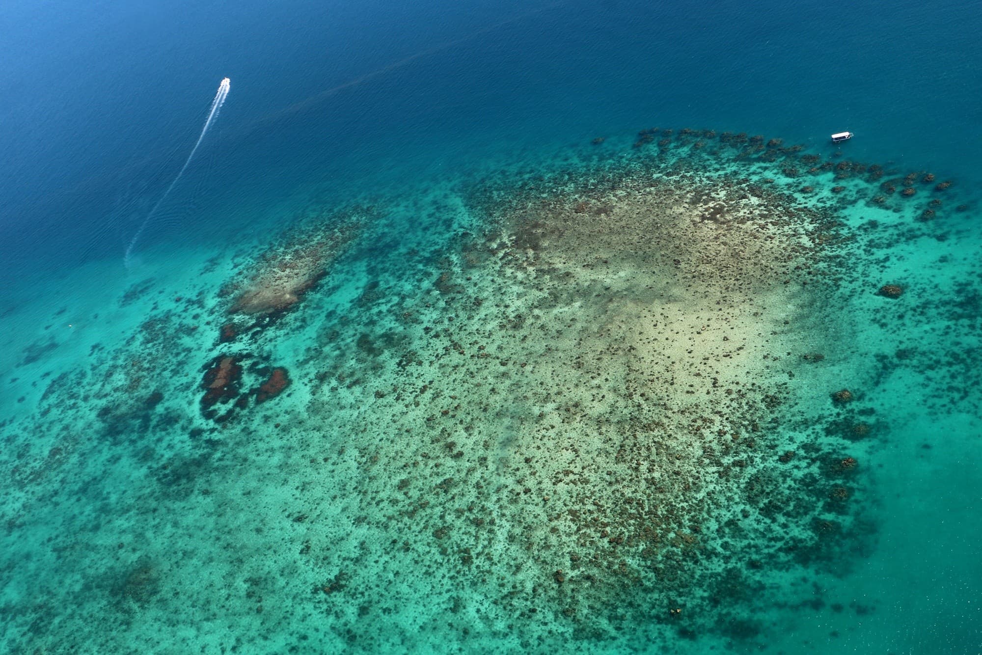 30-Minute Reef Scenic Flight from Cairns — Helicopter Views of the Great Barrier Reef photo 4