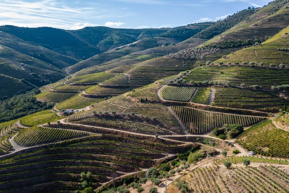 Wine & Vineyard Adventure at Vynea in Vinho Verde