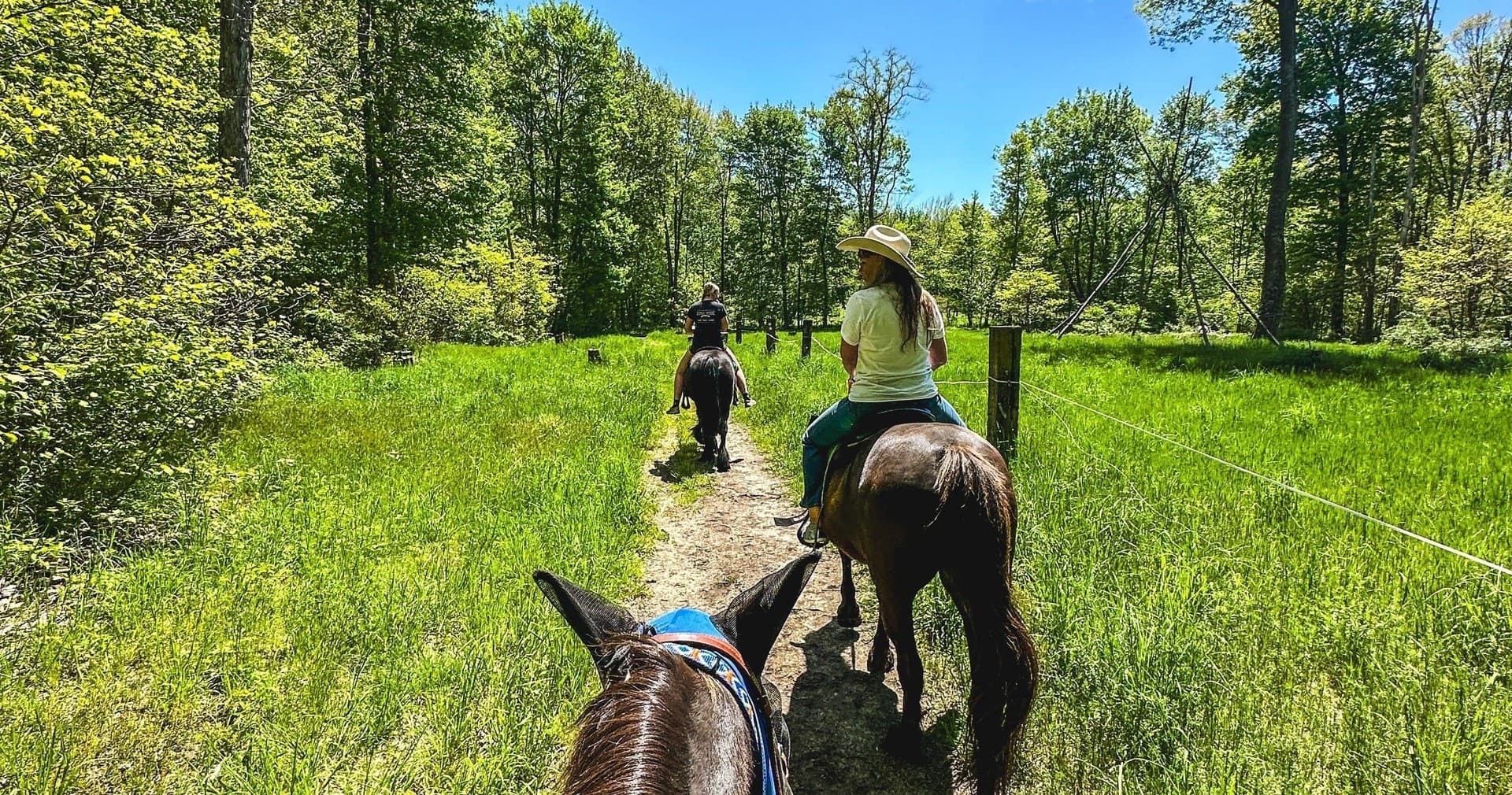 Scenic horseback trail ride through sunny green meadow