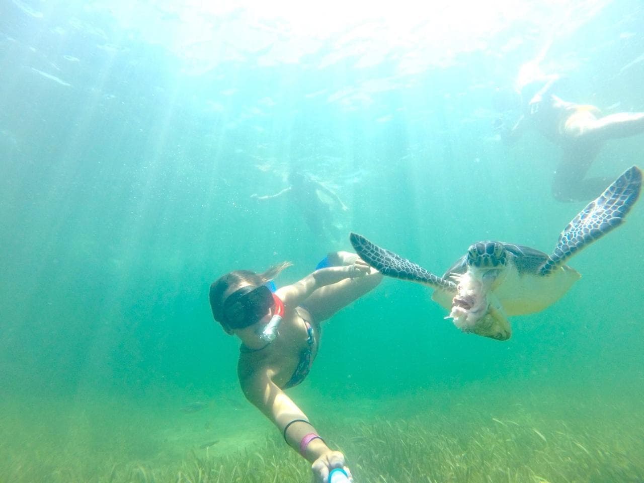 Explore Cabo Catoche: Fishing, Snorkeling & Pristine Beaches at Holbox Island