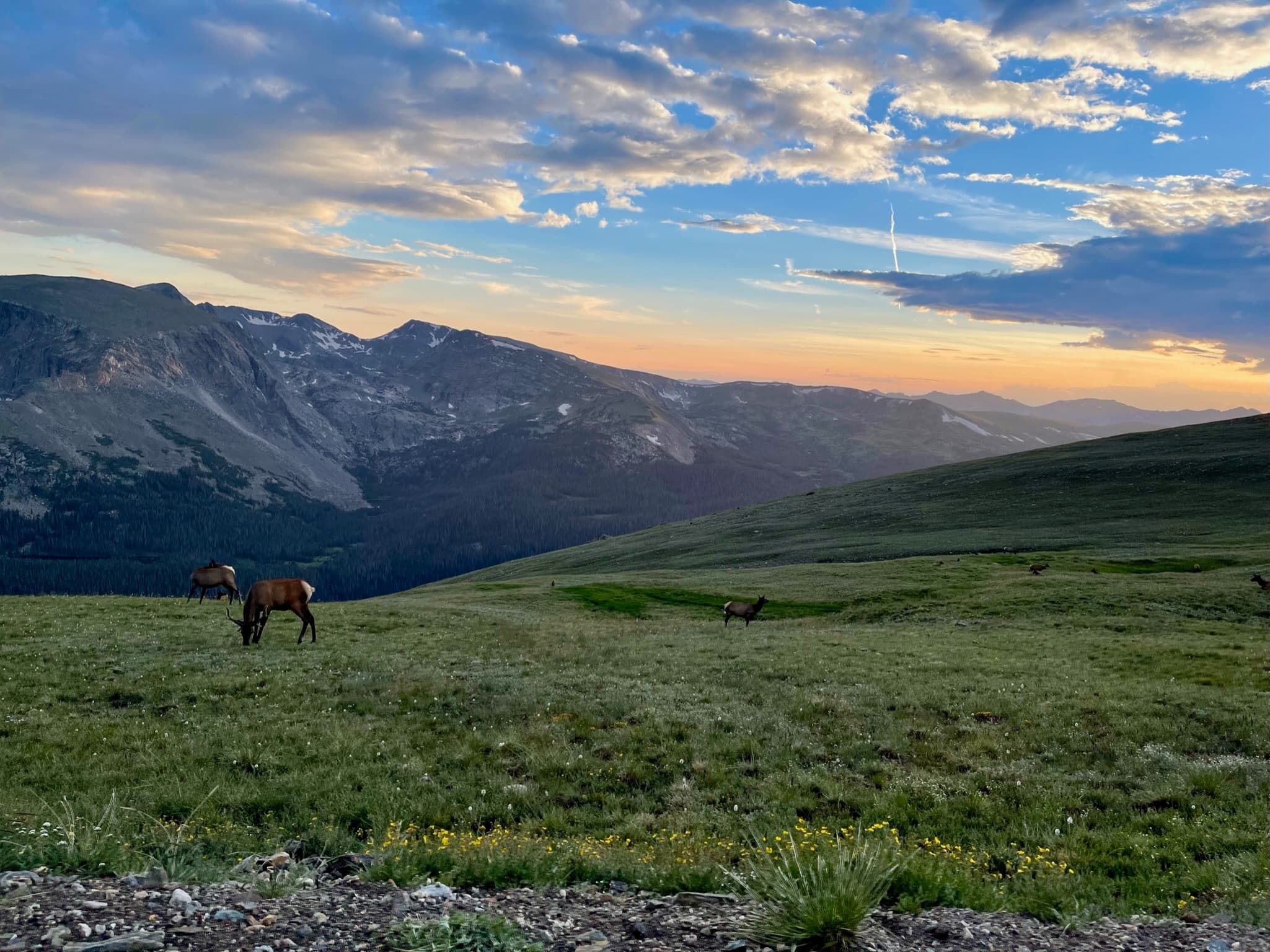 Open Jeep Rocky Mountain Adventure: Private High-Alpine Jeep Tour from Estes Park