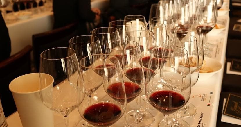 Wine Tasting & Classes - Milan's Finest Wines with Your Travel Diary