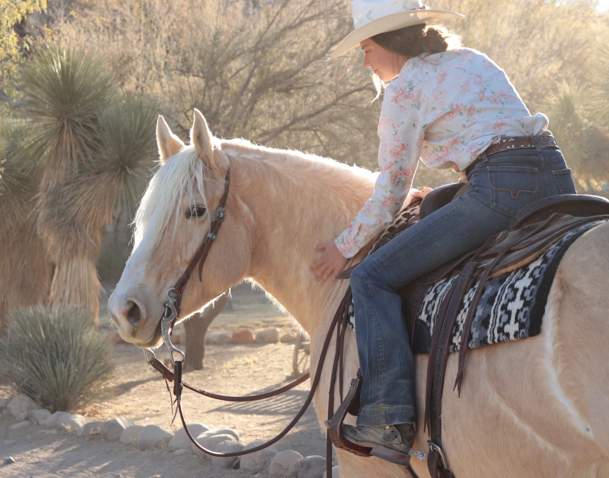 Ride on Rincon: Scenic Horseback Trails in Wickenburg, AZ