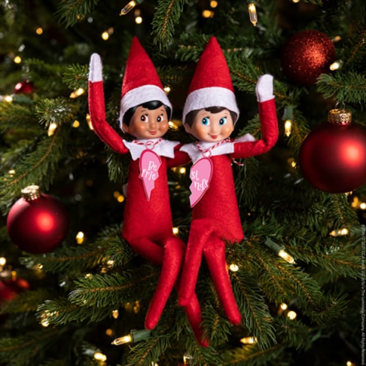 Festive elf pair posed on indoor Christmas tree branches with lights