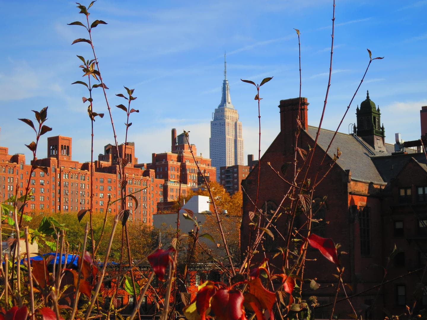 Manhattan skyline with Empire State Building and rooftops
