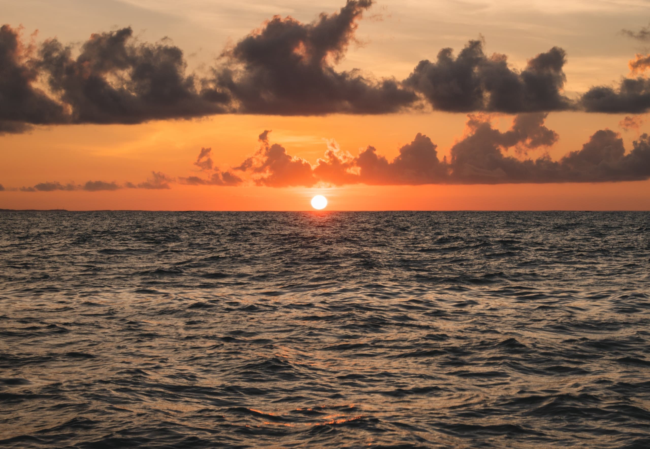 Sunset Sailing with Cruz Bay Watersports in St. Thomas
