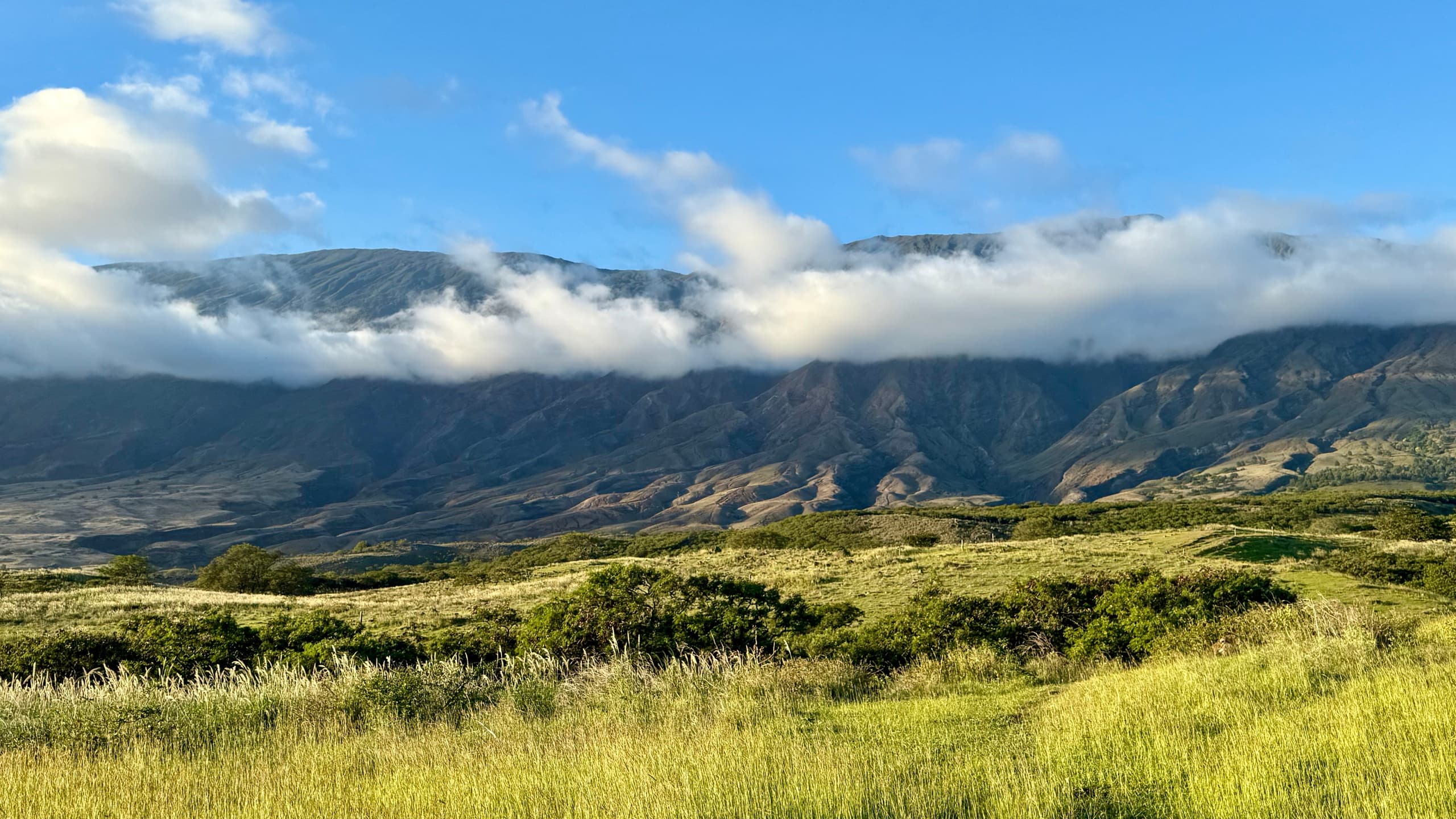 Experience the Full Road to Hana Loop in Kahului, Hawaii