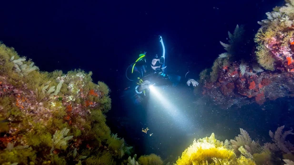 Night Diver: PADI Night Diving Course from Newington, CT