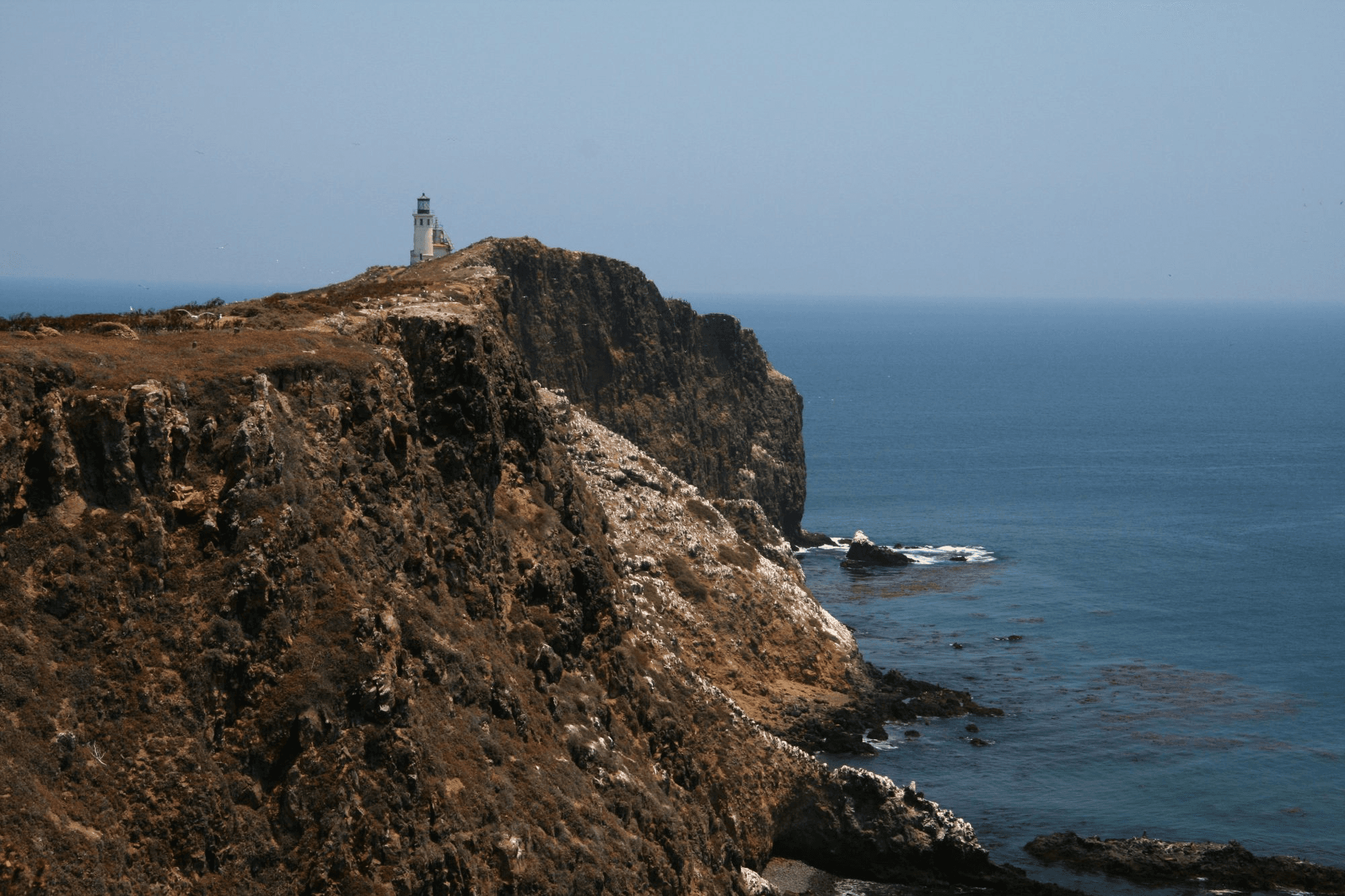 Channel Islands Tours fleet