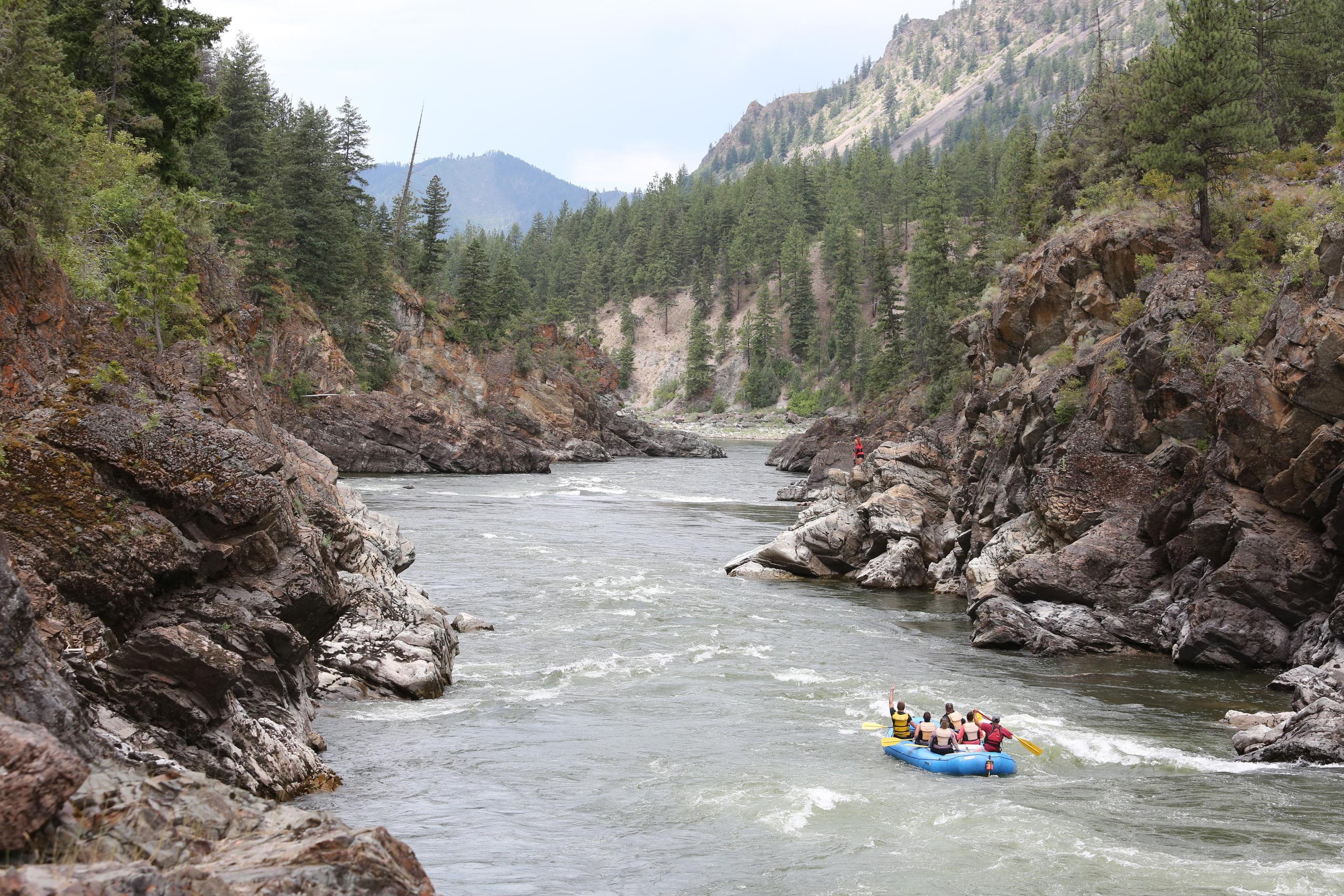 Gentle River Rafting on Clark Fork with Wiley E. Waters
