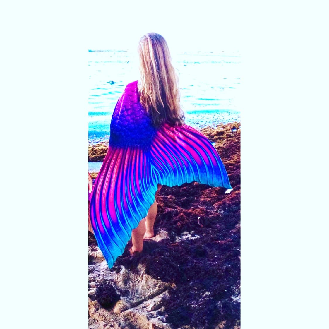 Become a Mermaid Instructor in Homestead: Curso Instructor de Sirenas FGC