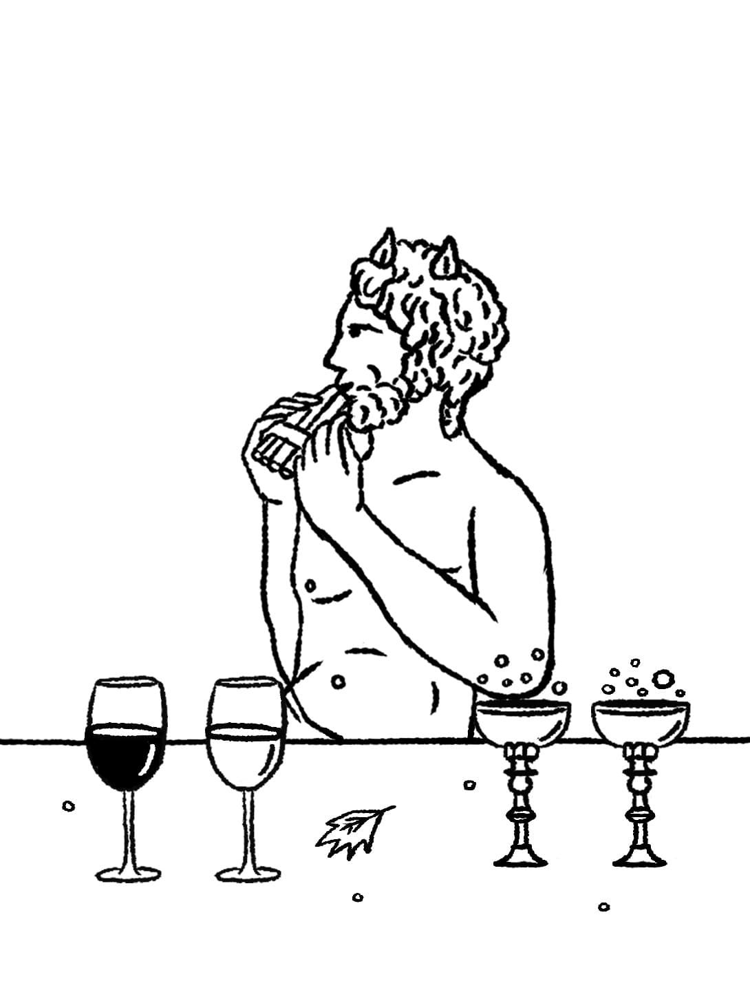 Discover Aphros World: Biodynamic Wine Tastings & Vineyard Tours in Portugal’s Vez Valley