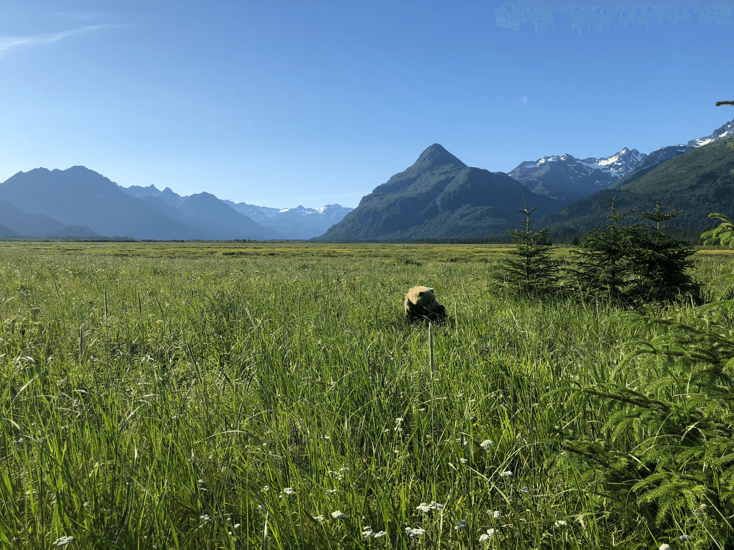 Alaska Ultimate Safaris team