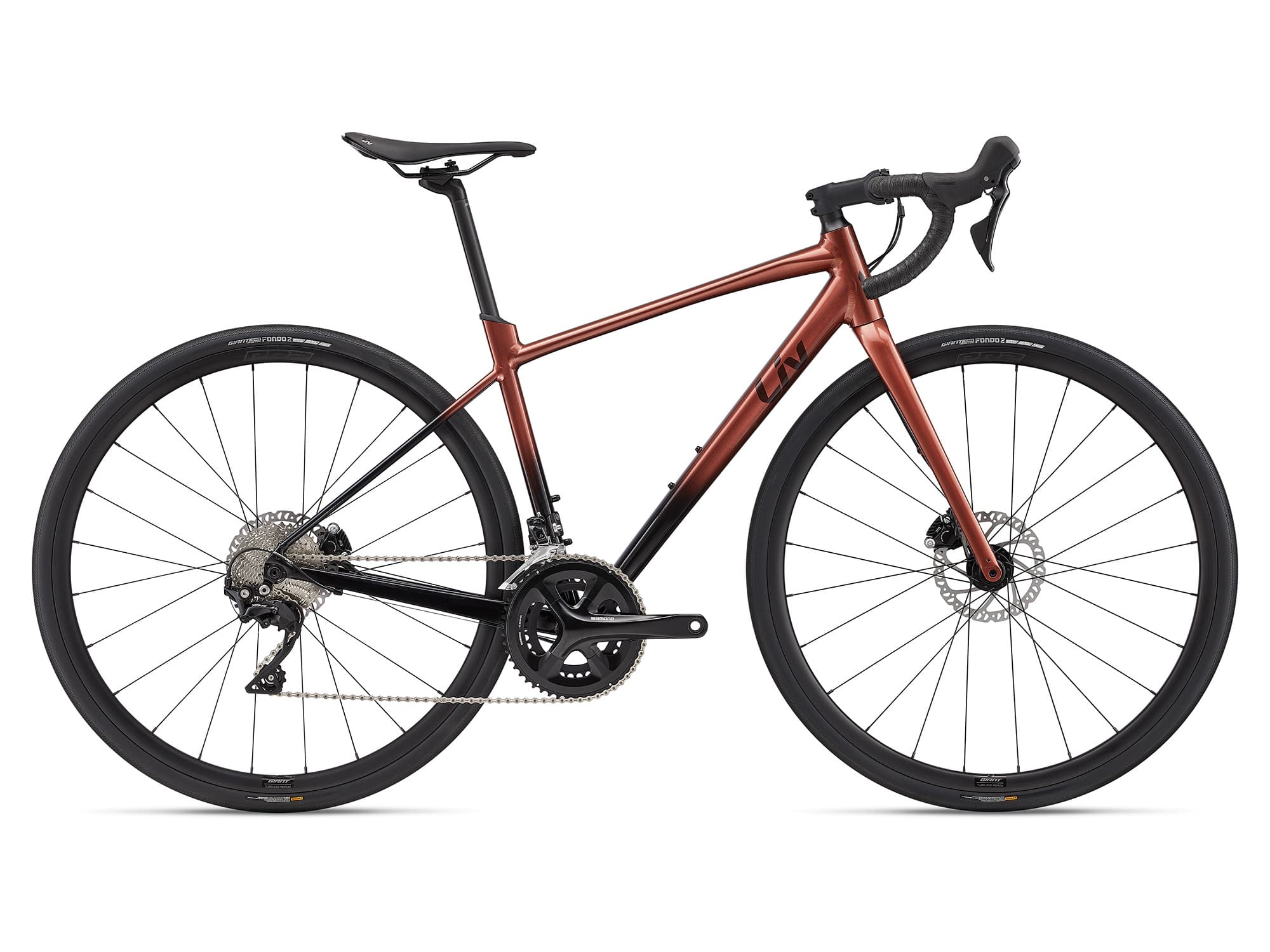 Women's Road Cycling Rentals with Zweiradperle in Hamburg