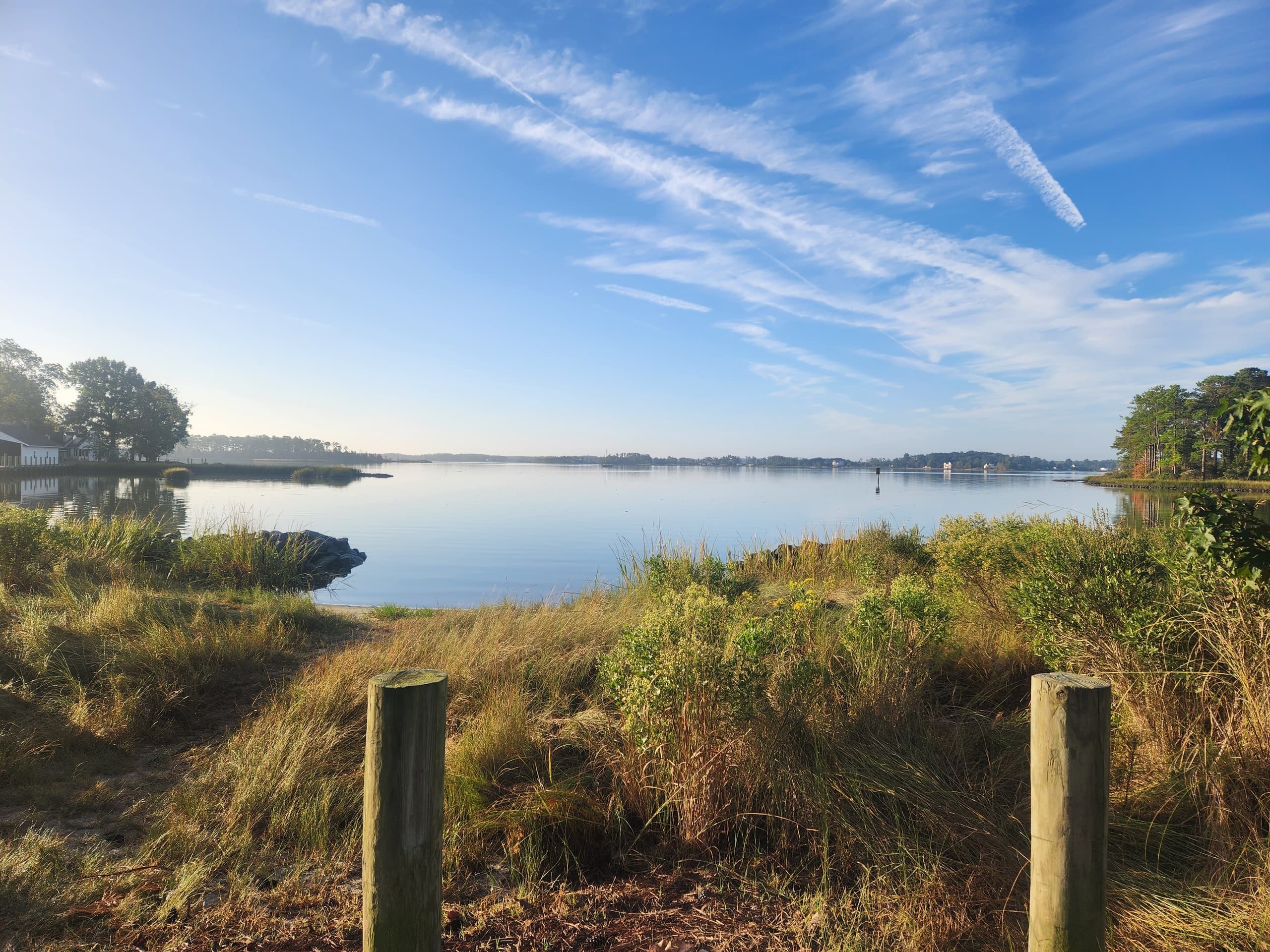 Golden marsh inlet and distant treeline at dawn, calm kayaking