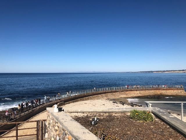 La Jolla Scenic 10K Tour: Explore San Diego’s Coastal Beauty